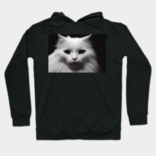 Cute fluffy white cat portrait Hoodie